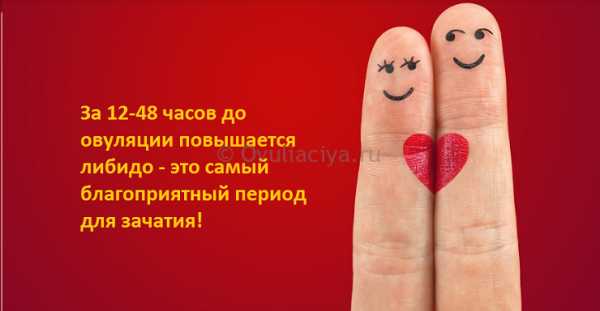Повышается либидо
